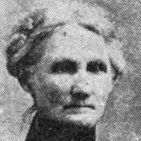 Hannah Cook (1845 - 1926) Profile